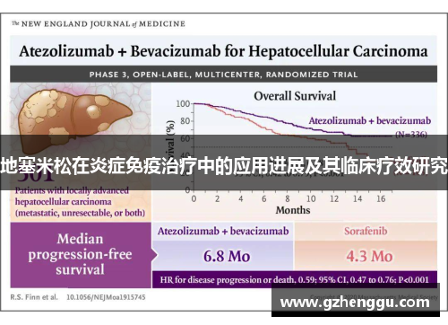 地塞米松在炎症免疫治疗中的应用进展及其临床疗效研究